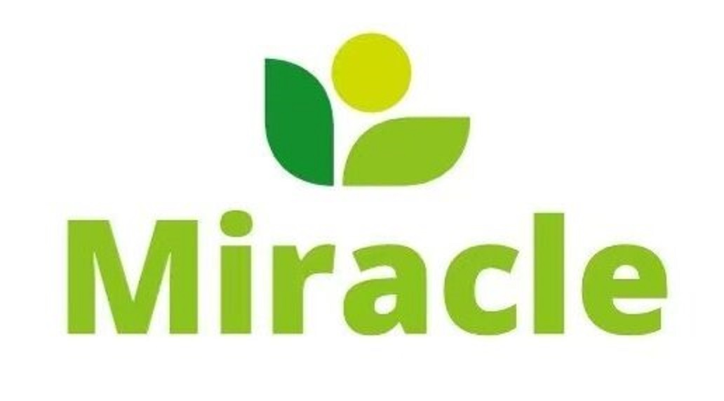 中英文双语网站